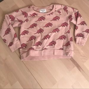 Dinosaur Triceratops Sweatshirt Stitch Fix Kids